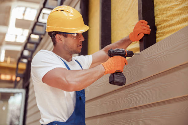 Best Custom Siding Design  in Streamwood, IL